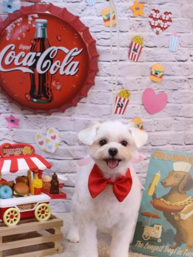 20230916うるちゃん